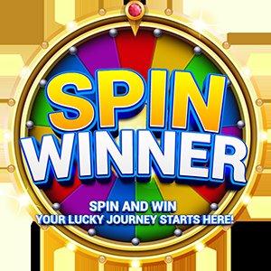 Ecco la Spin Winera: Recensione e Consigli per Utilizzatori Italiani